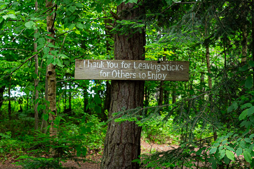 The Wild Center - Trolls   |  Tupper Lake, NY - Jun 2026